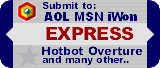 Express Search Submit